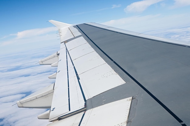 写真 空に向かって飛ぶ飛行機の低角度の景色