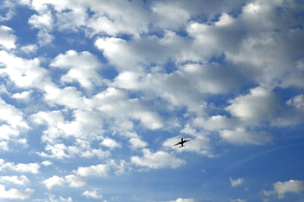 写真 空を飛ぶ飛行機の低角度の景色