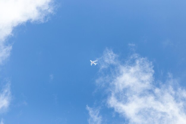 写真 空を飛ぶ飛行機の低角度の景色