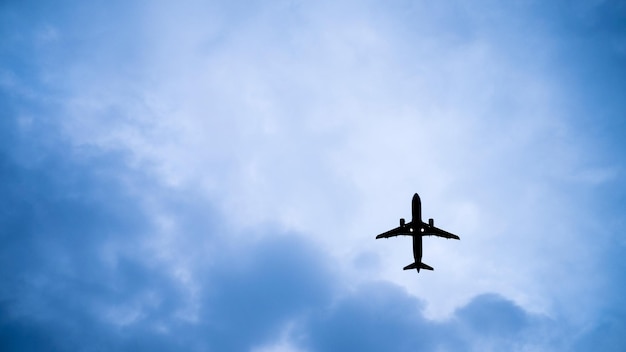 写真 空を飛ぶ飛行機の低角度の景色