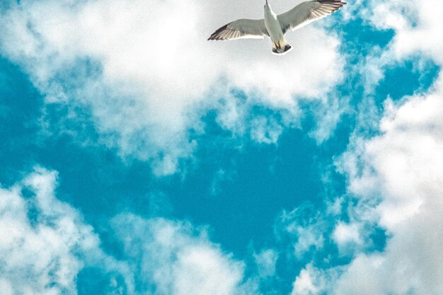 Фото Низкоугольный вид самолета, летящего в небе
