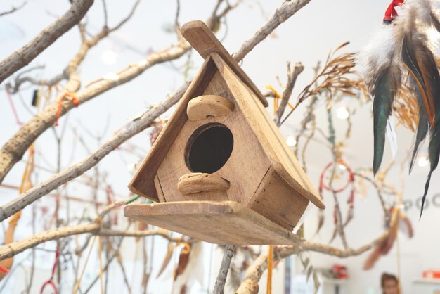 写真 木にぶら下がっている鳥の低角度の眺め