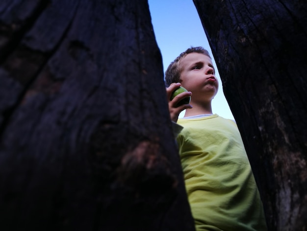 Фото Низкий угол зрения мальчика, держащего яблоко, виденный через дерево