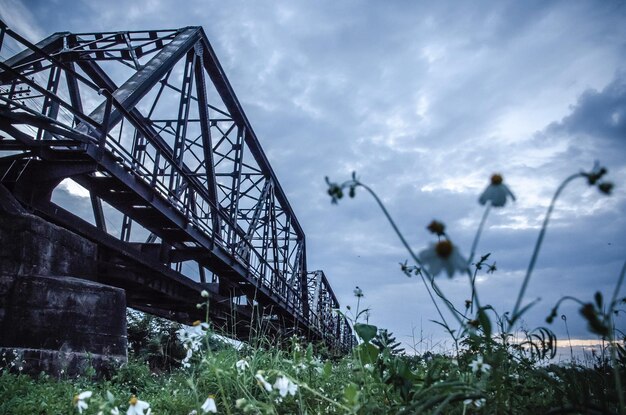 写真 空に照らされた橋の低角度の景色