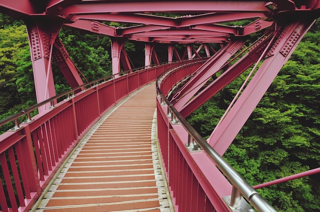 写真 橋の低角度の視点