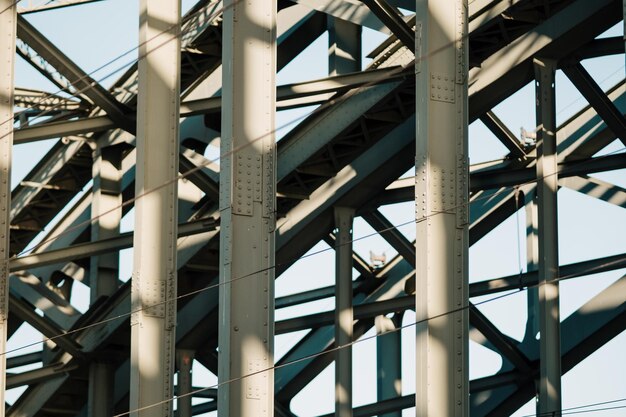 写真 橋の低角度の景色