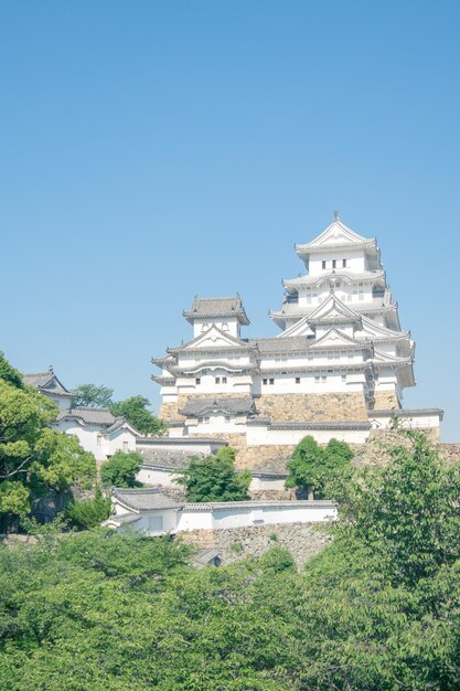 사진 은 파란 하늘을 배경으로 건물의 낮은 각도 시각