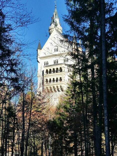 写真 建物の低角度の視点