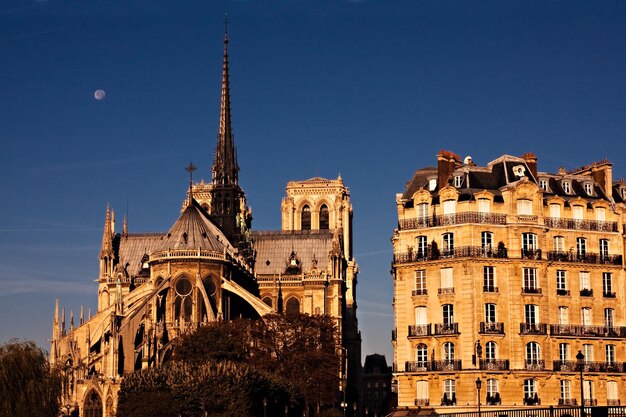 写真 青い空を背景にした街の建物の低角度の景色