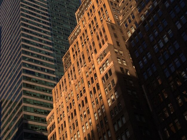 写真 建物の低角度のビュー