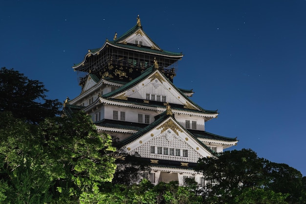 写真 夜の空に照らされた建物の低角度の景色