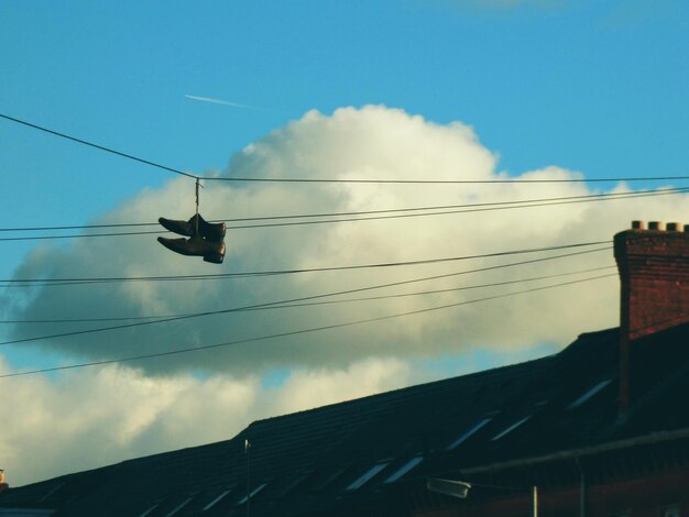 写真 青い空を背景にケーブルを低角度で眺める