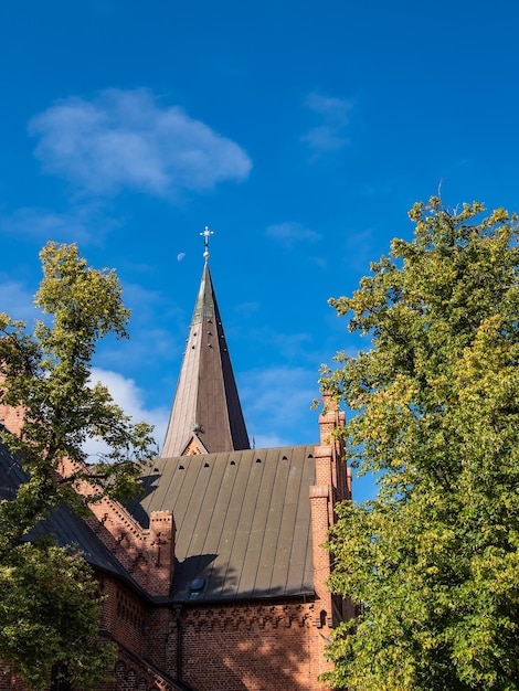 Фото Низкоугольный вид на церковь и деревья на фоне голубого неба
