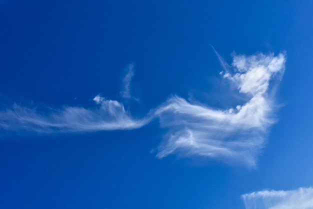 写真 青い空の雲の低角度の写真