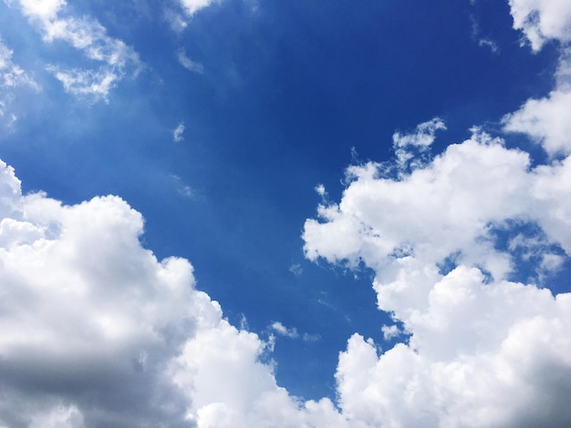 写真 空の雲の低角度のビュー