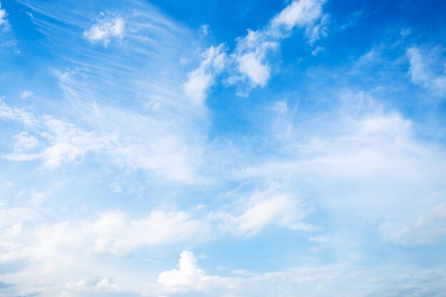 写真 空の雲の低角度のビュー