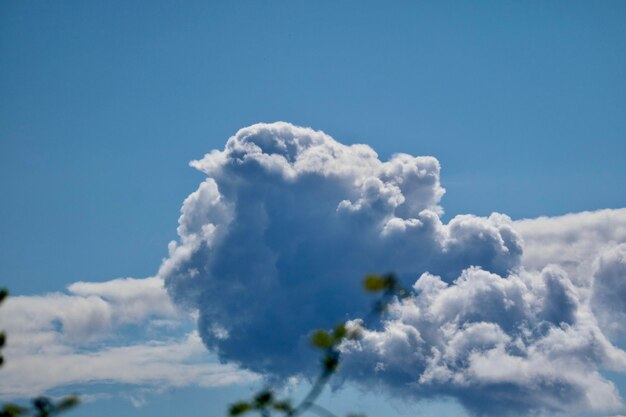 写真 空の雲の低角度のビュー