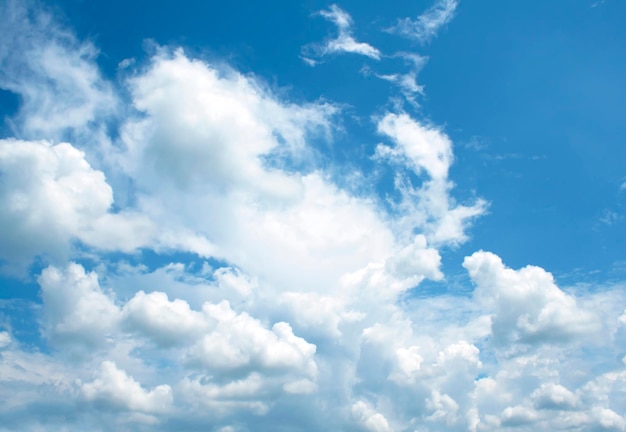 写真 空の雲の低角度のビュー