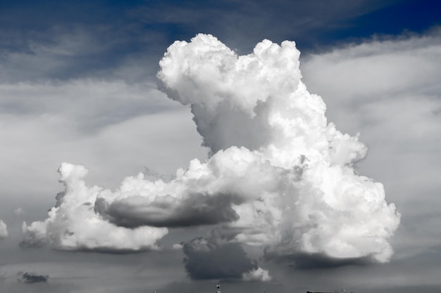 写真 空の雲の低角度のビュー