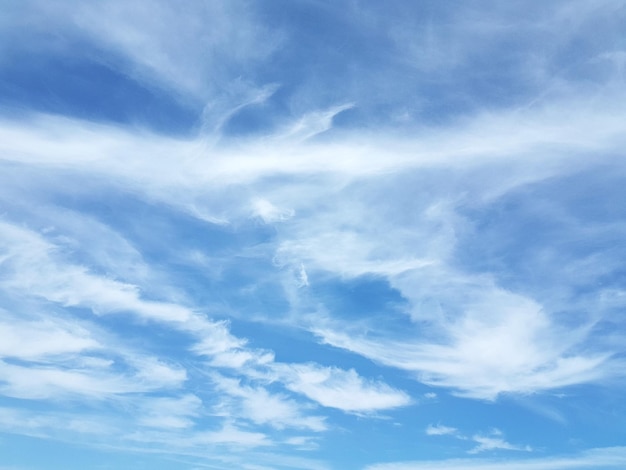 写真 空の雲の低角度のビュー