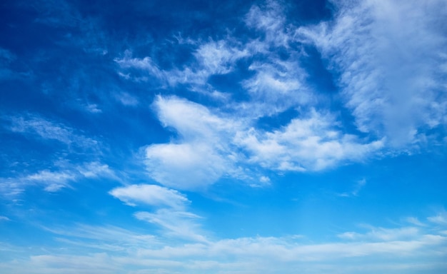 写真 空の雲の低角度のビュー