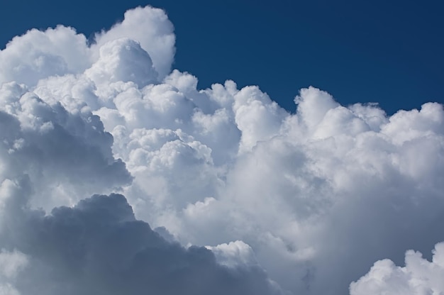 写真 空の雲の低角度のビュー