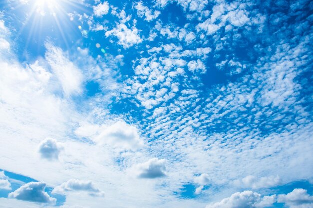 写真 空の雲の低角度のビュー