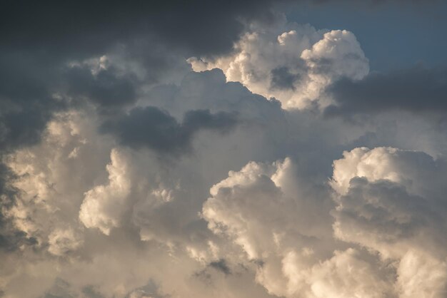 写真 空の雲の低角度のビュー