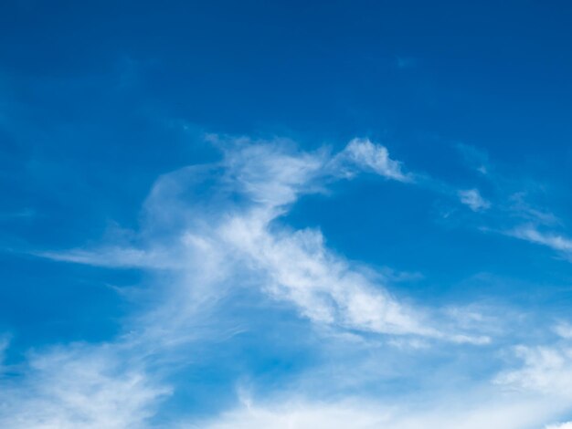 写真 空の雲の低角度のビュー