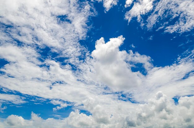 写真 空の雲の低角度のビュー