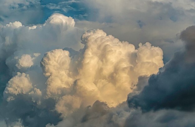 写真 空の雲の低角度のビュー