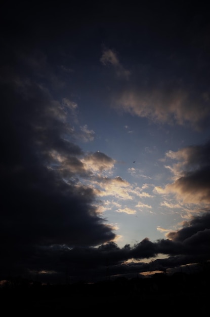 写真 夕暮れの雲の空の低角度の景色