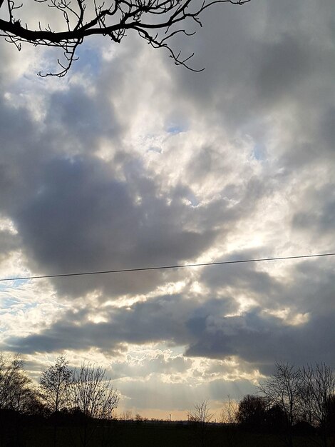 写真 った空の低角度の視点