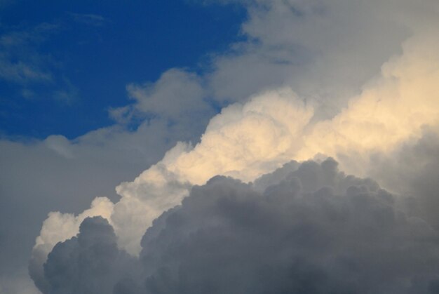 写真 った空の低角度の視点