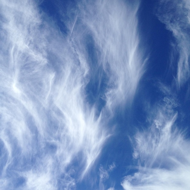 写真 った空の低角度の視点