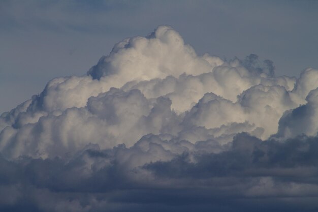 写真 雲の多い空の低角度の眺め