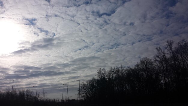 写真 った空の低角度の視点