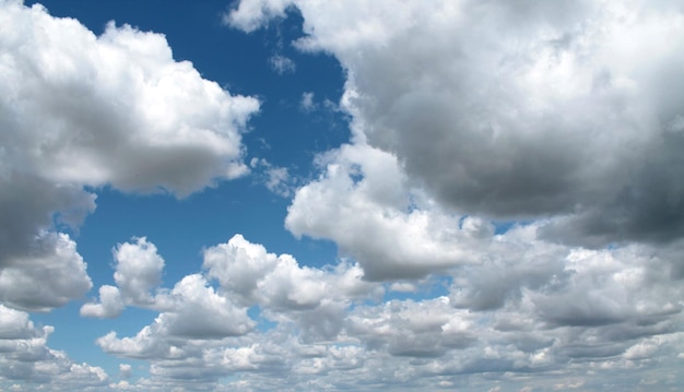 写真 った空の低角度の視点