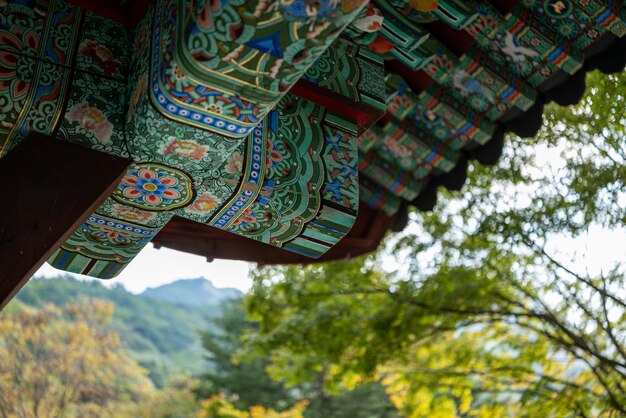 사진 한국 사원의 다채로운 댄<unk>의 낮은 각도 시각