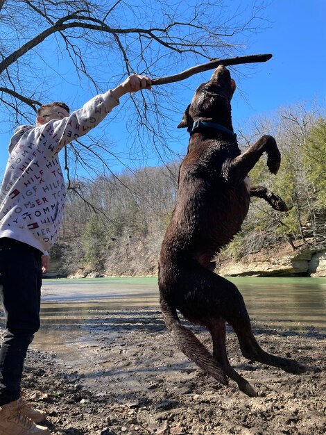 写真 犬と少年が遊んでいる低角度の景色