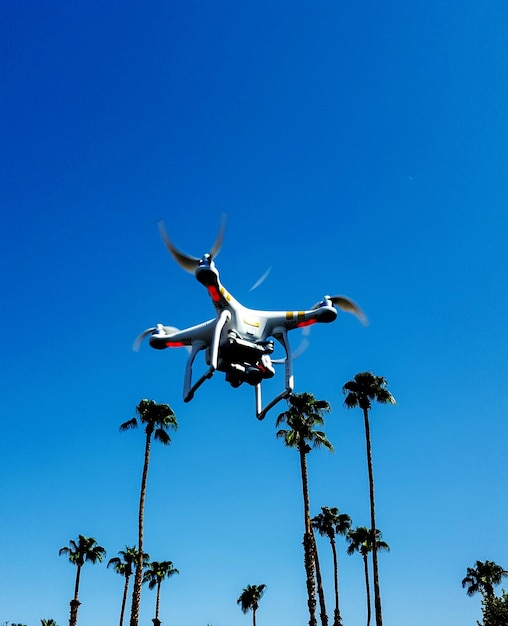 写真 晴れた青い空を背景にドローンとナツメヤシの低角度の景色