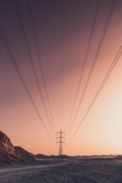 写真 明るい空に照らされた電気柱の低角度の景色