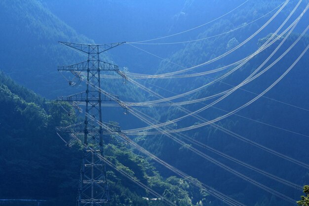 写真 青い空を背景にした電気柱の低角度の視点