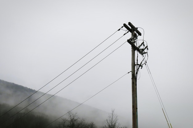 写真 霧の中の空に照らされた電気柱の低角度の景色