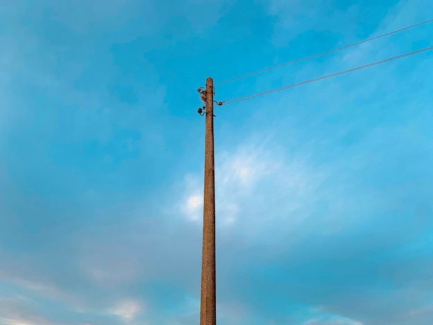 写真 空に照らされた電気柱の低角度の視点