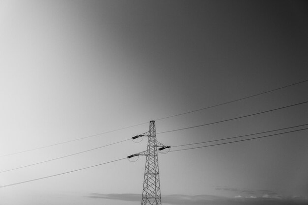 写真 空に照らされた電気柱の低角度の視点