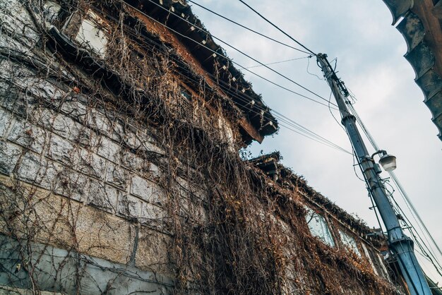 写真 空に照らされた電力柱の低角度の眺め