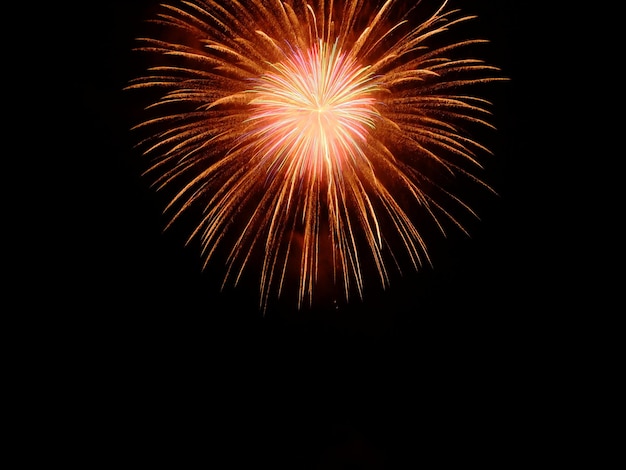 写真 夜の空に照らされた花火の低角度の景色