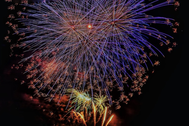 写真 花火の展示の低角度の視点