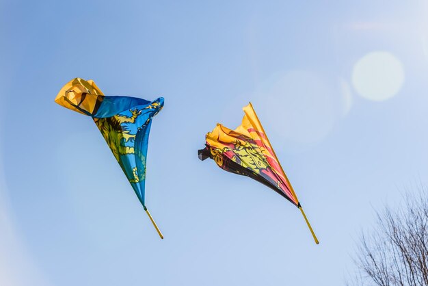 写真 晴れた空に照らされた旗の低角度の景色